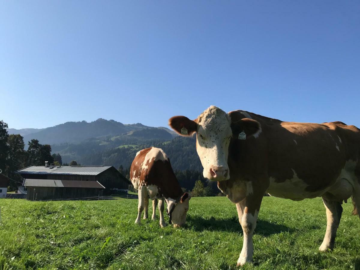 Hof Oberhaus Villa Kitzbühel Eksteriør bilde